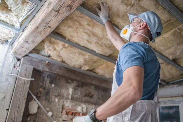 Best Insulation Maintenance and Repair in Holtville, CA